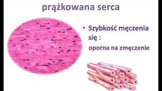 Tkanka mięśniowa [upl. by Nesnej]