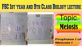 Topic Meiosis Prophase 1 of Meiosis 1 lecture delivered by Maam Samina Khuram 👍 [upl. by Nylrem]