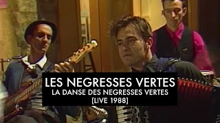 Les Négresses Vertes  La Danse Des Négresses Vertes  13101988  Décibels FR3 [upl. by Noevad26]