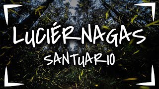 SANTUARIO DE LAS LUCIERNAGAS 🔴GUIA COMPLETA ► ¿COMO LLEGAR QUE HAY ► Nanacamilpa Tlaxcala [upl. by Airdnekal852]