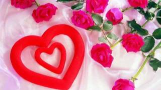 Somali Lyrics  Song  My Love  By Faysal Yare [upl. by Siblee134]