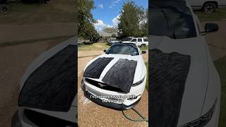 The BEST Car Drying Towel  Blackline Vs ExoForm [upl. by Nnahs]