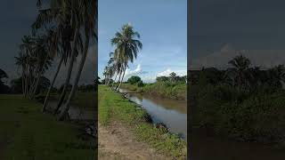 Kampung Parit Buaya Alor Setar [upl. by Duile]