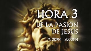 03 de 24 I Horas de la Pasión de Jesús Luisa Piccarreta Divina Voluntad [upl. by Orv86]