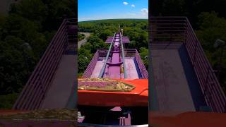 POV Apollo’s Chariot 🏛️⚡️shorts travel buschgardens [upl. by Hgielram888]