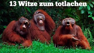 Die besten Witze zum TOTLACHEN [upl. by Ennad]