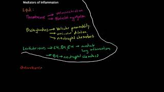 Immunology  Mediators of Inflammation [upl. by Ahtiekal]