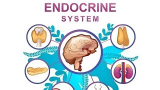 Endocrine System Nursing Introduction Part  1 [upl. by Elleda]