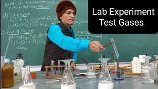 Identification of Gases  Sir AK Singh  Chemistry  Experiment [upl. by Enaile]