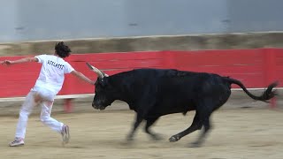 VALLABREGUESLigueCourse Camarguaise05062024 [upl. by Nette]