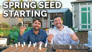 Start Seeds With Us Seedling Mixes Varieties and Special Tips [upl. by Soisinoid]