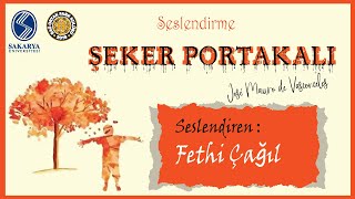 Şeker Portakalı  Sesli Kitap [upl. by Aikan341]