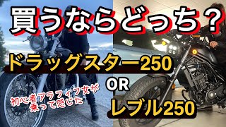 【バイク比較】ドラッグスター250 レブル250 あなたならどっち？ レブルカスタムもご紹介します🏍️ バイク バイク女子 初心者 [upl. by Yllas80]