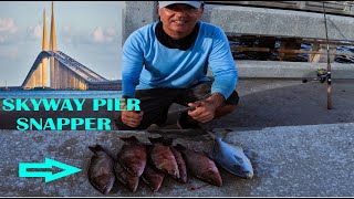 EASY Mangrove Snapper Fishing The Skyway Pier Tampa Bay Florida [upl. by Ylrebmek]