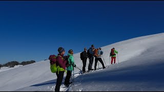 Schneeschuhtour Schwarzsee [upl. by Thorstein365]