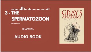 3  THE SPERMATOZOON  EMBRYOLOGY  CHAPTER 1  ANATOMY OF THE HUMAN BODY  BY HENRY GRAY AUDIOBOOK [upl. by Chic]