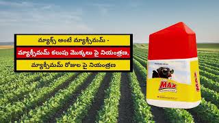 Sumi Max  Best Herbicide for Soybean Weeds Telugu [upl. by Coleman]