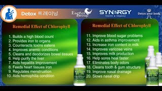 The Best Quality Liquid Chlorophyll [upl. by Enerahs]