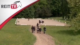 Dressurtraining mit Jean Bemelmans  Die Alten Meister [upl. by Hennebery293]