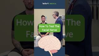 How to Test the Facial Nerve 🧠👨‍⚕️ FacialNerveTest USMLE [upl. by Imre159]