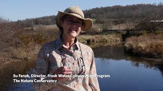 Stream Restoration at Blakeslee Preserve [upl. by Elayor]