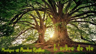 Larbre de vie The Tree of LifeMusique amp Paroles Le monde dEpsilon [upl. by Ecirrehs]