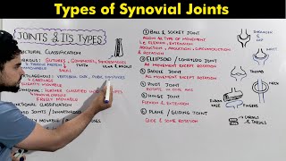 Joints and Its types Synovial joint types [upl. by Nilreb46]