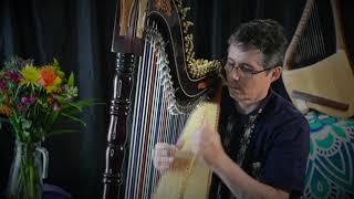 Harpist Nicolas Carter plays quotAñoranzaquot [upl. by Madaras]