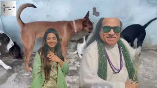 Pao Pao  Chahat Fateh Ali Khan  New Song from the Movie quotSabakquot  2024 Release [upl. by Duster]