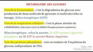 La Biochimie métaboliquepetit résumé S4 [upl. by Ecirtnuahs]