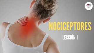 1 NOCICEPTORES FISIOLOGÍA DEL DOLOR [upl. by Gilmer]