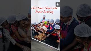 Christmas Fruits Soaking ytshorts christmasfruitssoaking plumcake christmascake funvideo cake [upl. by Redman549]