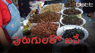 Singapore approves 16 species of insects for cooking [upl. by Airan]