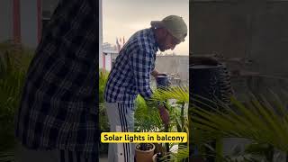 New solar lights in balcony  comment for the link gardeningwithnanav solarlights sustainability [upl. by Trevlac]