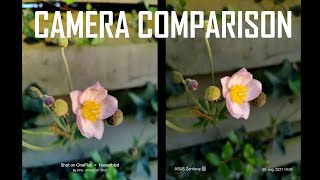 OnePlus 9 Pro vs Asus Zenfone 8 Camera comparison [upl. by Yamauchi188]