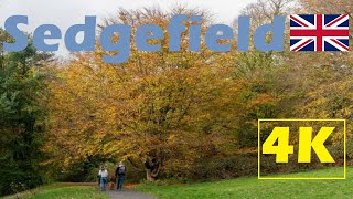 4K Walking in Sedgefield County Durham 2023 [upl. by Gianina]