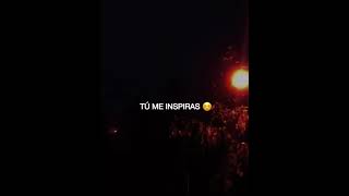 Dices que te vas  Karol G amp Anuel AA lyrics [upl. by Amzu836]