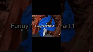 Funny moments part 1gorillataggtagrecommendedviralfunnyshorts [upl. by Hickey462]