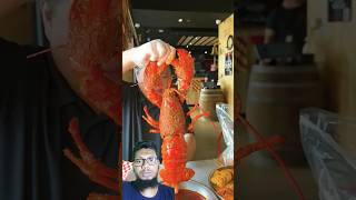 lobster catching and cooking lobster lasvegas foodchallenge shorts [upl. by Sihon137]