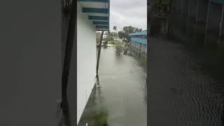 Hurricane Milton Floods International speedway Blvd Baymont Hotel [upl. by Derwon742]