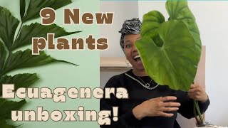 ECUAGENERA unboxing 20  plant haul [upl. by Ahcsas]