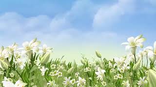 HD Animated Flowers Video Background  Floral background [upl. by Dorri]