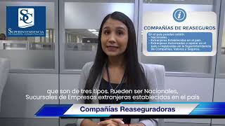 Compañías de Seguros y Reaseguros [upl. by Charleton]