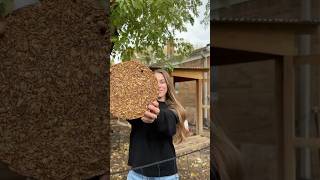 DIY Block Treat For Chickens backyardhomestead makeyourown diy chickenkeeping recipe chickens [upl. by Maise60]