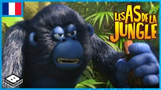 Les As de la Jungle 🇫🇷  Mission Zenitude [upl. by Ormand788]