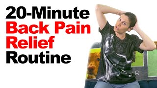 20Minute Back Pain Relief Routine with RealTime Stretches amp Exercises [upl. by Ardie]