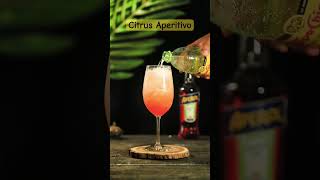 Citrus Aperol estudiococtel  João Bartender tutorial shorts joaobartender [upl. by Inhsor]