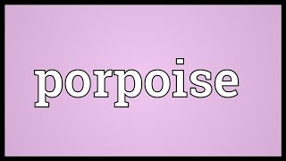 Porpoise Meaning [upl. by Sunda]