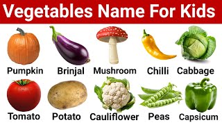 Vegetables name in English with pictures  Vegetables name with pictures  Vegetables vocabulary [upl. by Marelya]