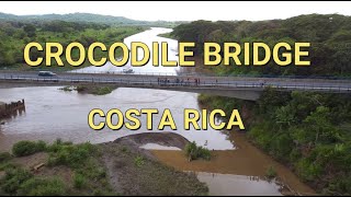 Crocodile Bridge  MUST SEE  Costa Rica [upl. by Ranice]